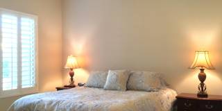 78870 Citrus Gallery 25