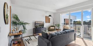 Cru at Willows Gallery 15