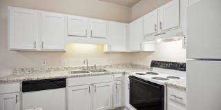 Northridge Crossings Gallery 1