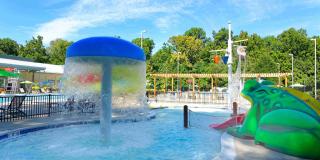 Rollins Park Gallery 7