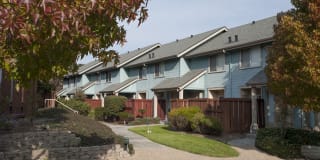 Pacific Vista Gallery 1