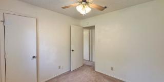 Viewable Now!  Small Dogs Accepted! Gallery 19