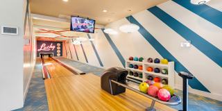 Citra at Windermere Gallery 17