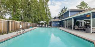 Avana Chestnut Hill Gallery 34