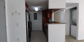 Modern 1BR/1BA Condo with Stainless Steel Appliances – Downtown Miami Gallery 12