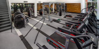 Rise Koreatown Gallery 15