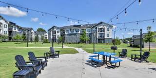 The Aster Gallery 32