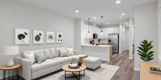 New Construction Luxury Townhome - Bright  Sunny End Unit Gallery 1