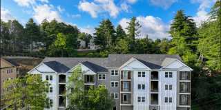 The Collection on 421 Gallery 1