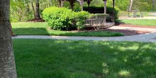 1001 TREELAND Way Gallery 22