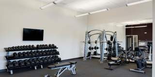 The Shoreham On France Gallery 16