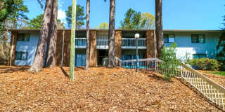 2 Bedroom condo in Raleigh 2 Bedroom condo in Raleigh Gallery 1
