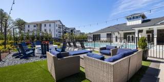 Arlow at Blue Ridge Gallery 7