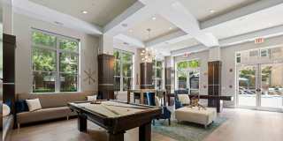 Elizabeth Square Gallery 14