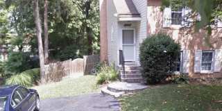 10050 WOOD SORRELS Lane Gallery 11
