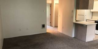 Barbur Heights Gallery 4