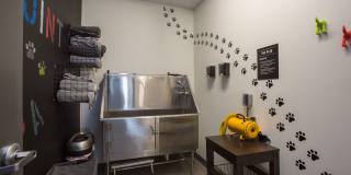 Decatur Point Gallery 8