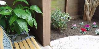 Cottonwood Gallery 12