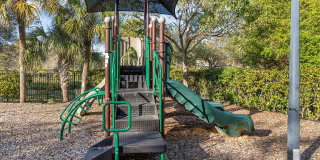 The Preserve Cypress Hammock Gallery 52