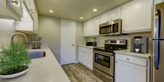 Henley And Remy Gallery 21