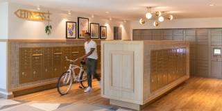 The Margo Gallery 10