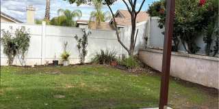 26630 Black Horse Gallery 2