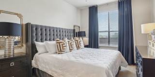 Forum on San Felipe Gallery 20