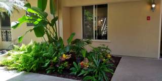 Diamond Pacific Gallery 17