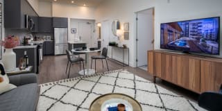 Hyde Square Gallery 4