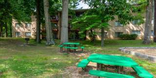 Auden Place Gallery 4