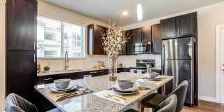 Senita on Cave Creek Gallery 1