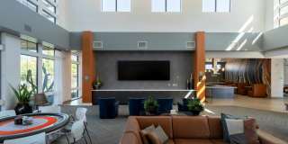 Liv Northgate Gallery 9