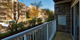 Smith's Landing Gallery 33