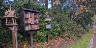 2217 Blossom St - 4 Gallery 18