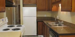 Convenient to Navy Federal & Pine Forest/Nine Mile Road area! Gallery 3