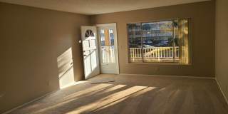 2402 Ecuadorian Way Gallery 1