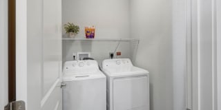 Springs at Hibiscus Crossing Gallery 19