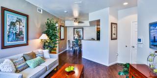 Boulders at Lone Mountain Gallery 26