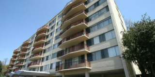 5353 COLUMBIA PIKE 208 Gallery 2