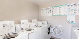 The Enclave at Town Square Gallery 12