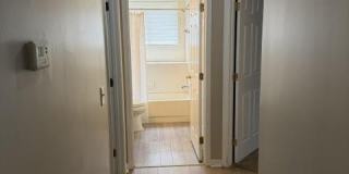 7822 BAGLEY HOLLOW Court Gallery 19