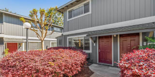 Pruneyard West Gallery 4