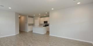 905 Olive Creek Drive Georgetown, TX 78633 Gallery 6