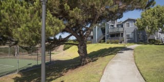 Cypress Creek Gallery 27