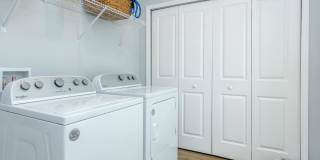 West Shire Village Gallery 13