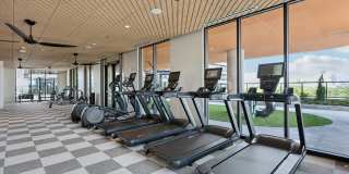 Stella at Star Metals Gallery 39