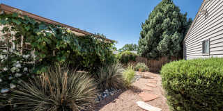 2140 Robin Drive Gallery 37