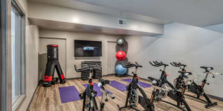 The Fields Gallery 22