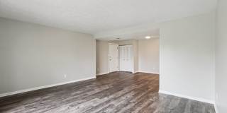 Williamsburg South Gallery 22