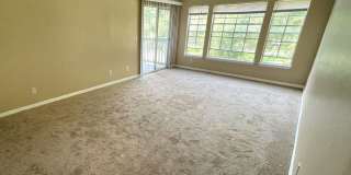 TW234 Gallery 5